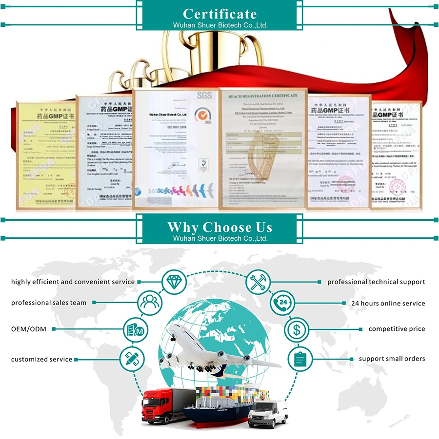 Overseas Warehouse Stock Nootropics Spermidine CAS 124-20-9